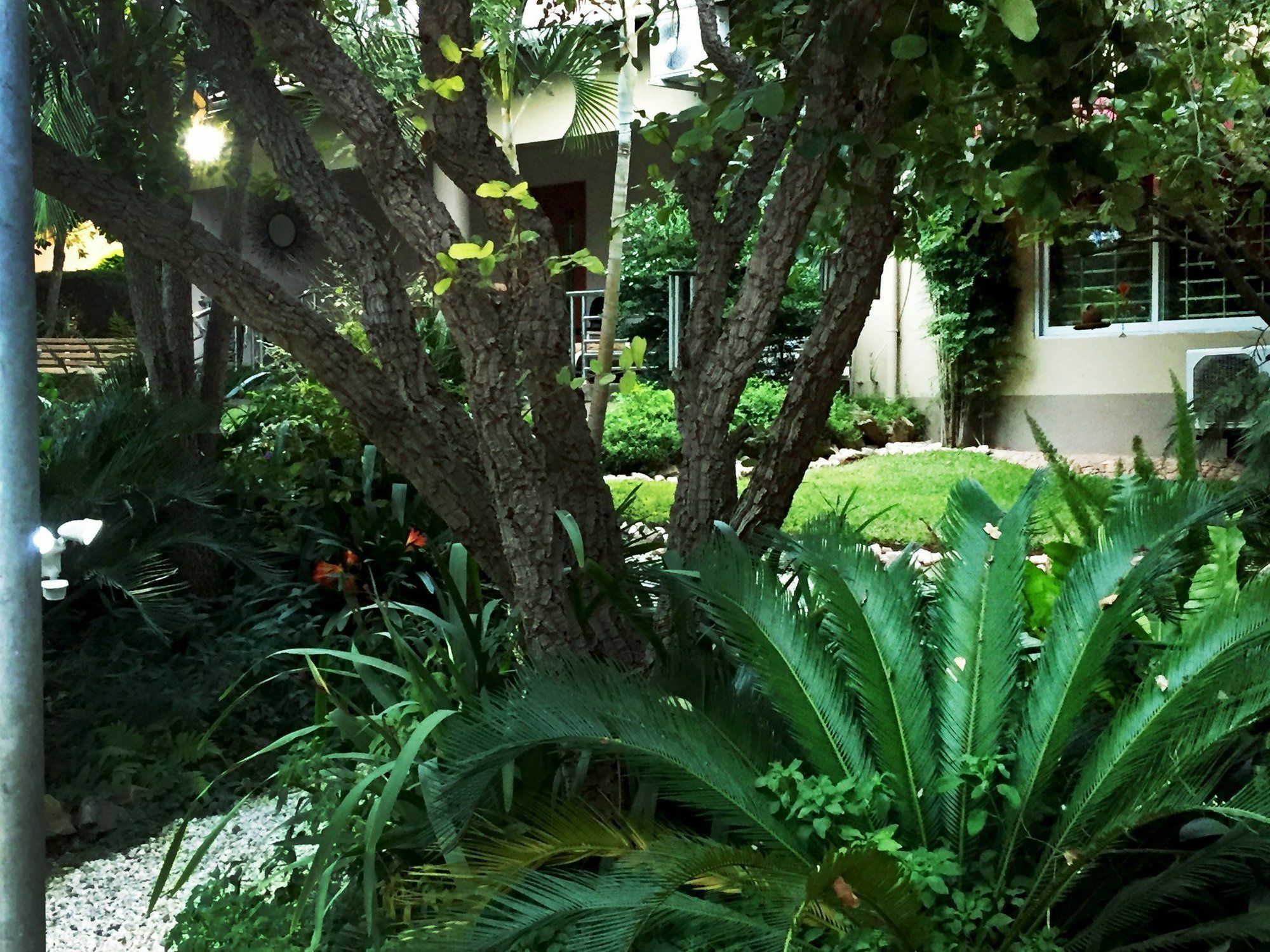 Palmwood Lodge Lusaka Exterior photo