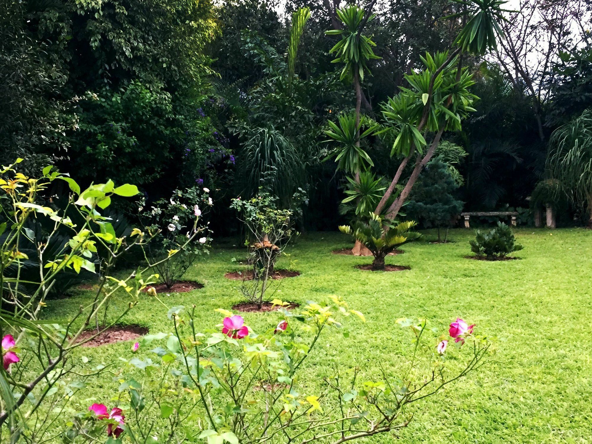 Palmwood Lodge Lusaka Exterior photo